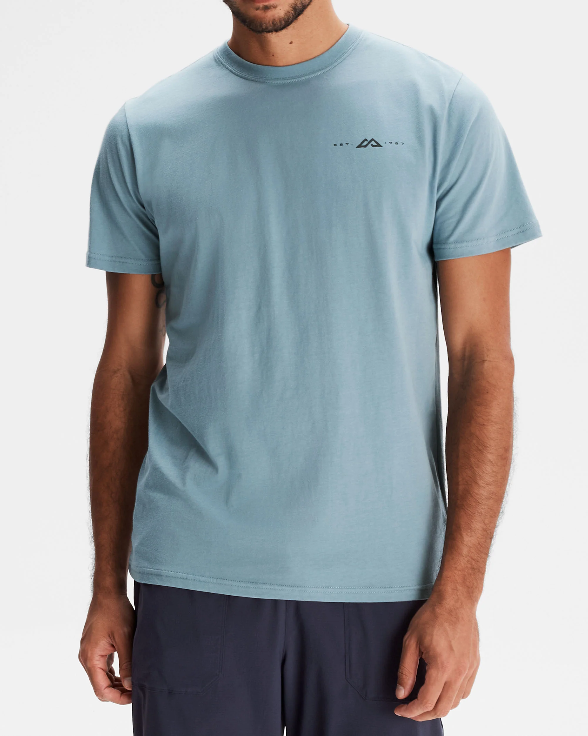 Men's Mountain Rays Organic Cotton T-shirt - Vapor